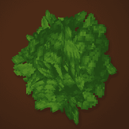Ymmersive Foliage